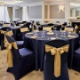 Blue Chair Covers