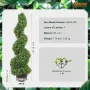 Artificial Topiaries Boxwood Trees, 3ft Tall (2 Pieces) Faux Topiary Plant Outdoor, All-year Green Feaux Plant w/ Replaceable Le