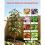 Garden Trellis, 180 x 52.5 cm Rose Trellis, 6 Packs Garden Flower Rose Trellises with Powder-Coated Finish & Convenient Locking 