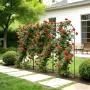 Garden Trellis, 180 x 52.5 cm Rose Trellis, 6 Packs Garden Flower Rose Trellises with Powder-Coated Finish & Convenient Locking 