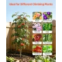 Garden Trellis, 152 x 40.5 cm Rose Trellis, 4 Packs Garden Flower Rose Trellises with Powder-Coated Finish & Convenient Locking 