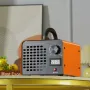 Ozongenerator 12000 mg/h ozon maskine lugtfjerner med 0-120min