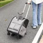 Cat Carrier with Wheels, Rolling Pet Carrier with Telescopic Handle and Shoulder Strap, Dog Carrier with Wheels for Pets under 1
