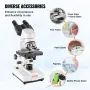 Binocular Compound Microscope, 40X-2500X Magnification, Binocular Compound Lab Microscope with LED Illumination, Two-Layer Mecha