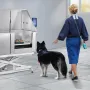 1.27M Pet Dog Bathing Station Electric Height Adjust, Professional Stainless Steel Dog Grooming Tub w/ Soap Box, Faucet,Rich Acc