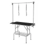 Pet Grooming Table Two Arms with Clamp, 117 cm