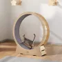 Cat Exercise Wheel, Large Cat Treadmill Wheel for Indoor Cats, 52 inch Cat Running Wheel with Detachable Carpet and Cat Teaser f