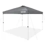 Pop Up Canopy Tent, 10 x 10 ft, 250 D PU Silver Coated Tarp, with Portable Roller Bag and 4 Sandbags, Waterproof and Sun Shelter