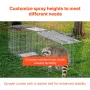 Live Animal Cage Trap, 31 "X 10" X 12 "Humane Cat Trap