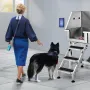 864 mm kæledyr hunde badestation m/ rampe, professionel
