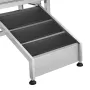 62" Pet Dog Bathing Station w/Ramp, Professional Stainless Steel Dog Grooming Tub w/ Soap Box, Faucet,Rich Accessory,Bathtub for