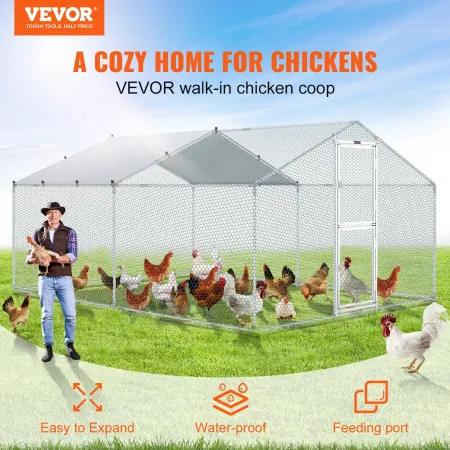 Metal Chicken Coop, 13,1 x 9,8 x 6,6 ft Stor kyllingeløb