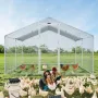 Metal Chicken Coop, 13,1 x 9,8 x 6,6 ft Stor kyllingeløb