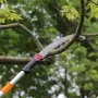 Manuel stangsav, 4,6-9,8 fod forlængelig træbeskærer, skarpt