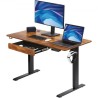 Height Adjustable Desk, 47.2 x 23.6 in with Drawer, 3-Key Modes Electric Standing Desk,Whole Piece Desk Board, Dual Metal