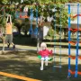 2x50 ft Ninja Warrior Obstacle Course Kids Udendørs Slackline