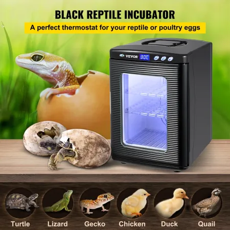 Black Reptile Incubator 25L Scientific Lab Incubator Digital Incubator Cooling and Heating 5-42°C Reptile Egg Incubator 12V/110V