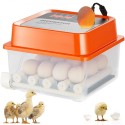 Egg Incubator Incubators for Hatching Eggs Auto Egg Turning 12 Eggs