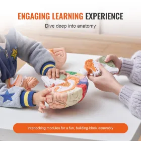 10ft Lifting Chain Sling, 5/16 inch Hanging Lift Chain, 11000lbs Capacity G80 Alloy Steel Engine Chain Hoist Lifts Heavyy Duty