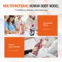 Human Body Model, 23 dele 18 tommer, menneskelig overkropp
