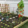 Tomato Cages, 14.6\" x 14.6\"" x 39.4\"", 3 Packs Tomato Cages for Garden, Square Plant Support Cages Heavy Duty, Green PVC-Coat