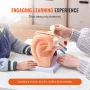 Human Ear Anatomy Model, 3 dele 5 gange forstørret menneskelig