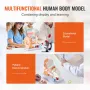 Human Ear Anatomy Model, 3 Parts 5 Times Enlarged Human Ear Model Displaying Outer, Middle, Inner Ear with Base, Professional PV