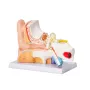Human Ear Anatomy Model, 3 dele 5 gange forstørret menneskelig