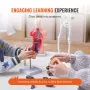 Human Anatomy Models Bundle Set, Brain, Human Torso Body