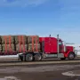 Winch Straps, 4" x 30', 6000 lbs Load Capacity, 18000 lbs Breaking Strength, Truck Straps with Flat Hook, Flatbed Tie Downs Carg
