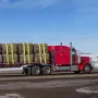 Vinchstropper, 4 "x 30 ', 6000 lbs belastningskapacitet, 18000