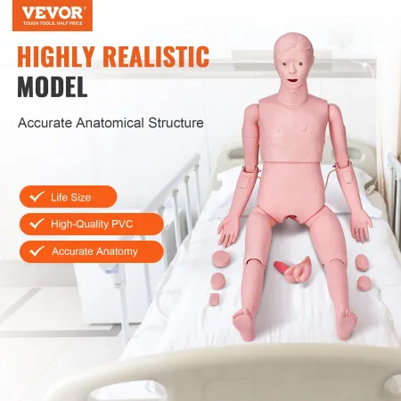 Sygeplejerskeuddannelse Manikin, demonstration af mandlig