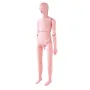 Nursing Training Manikin, Male Life Size Demonstration Human Manikin for Nursing Training, Multifunctional Education Teaching Mo