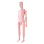 Sygeplejerskeuddannelse Manikin, demonstration af mandlig