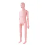 Nursing Training Manikin, Male Life Size Demonstration Human Manikin for Nursing Training, Multifunctional Education Teaching Mo