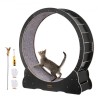 Cat Exercise Wheel, Large Cat Treadmill Wheel for Indoor Cats, 43.3 inch Cat Running Wheel with Detachable Carpet and Cat