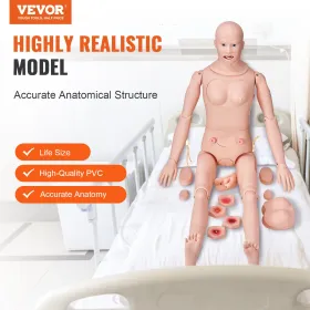 Sygeplejerskeuddannelse Manikin, Mand/kvindelig livsstørrelse