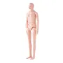 Nursing Training Manikin, Male/Female Life Size Demonstration Human Manikin for Nursing Training, Multifunctional Education Teac