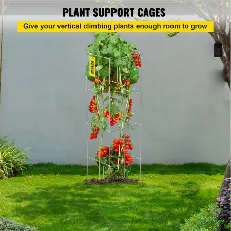 Tomato Cages, 11.8\" x 11.8\"" x 46.1\"", 5 Packs Square Plant Support Cages, Silver PVC-Coated Steel Tomato Towers for Climbing