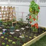 Tomato Cages, 11.8\" x 11.8\"" x 46.1\"", 5 Packs Square Plant Support Cages, Silver PVC-Coated Steel Tomato Towers for Climbing