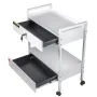Lab Cart, 2 Tiers Stainless Steel Utility Cart Medical Cart 2 Drawers Rolling Lab Cart White Paint Serving Cart with 360° Caster
