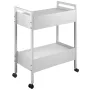 Labvogn, 2 lags rustfrit stål Utility Cart Medical Cart 2