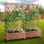 2 stk. hævet havebed med espalier, 60"x13"x61,4" udendørs