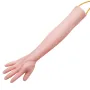 Phlebotomy Practice Kit, IV Venipuncture Intravenous Training