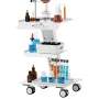 Lab Trolley, 3-Layer Rolling Lab Cart, Metal Mobile Trolley with Swivel Wheels, Tray Rolling Clinic Cart 100 kg Weight Capacity,