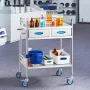 Lab Serving Cart, 2 Layers Stainless Steel Utility Rolling Cart, Medical Cart with Two Drawers, Dental Utility Cart with Lockabl