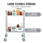 Lab Rolling Cart, 2-Shelf Stainless Steel Rolling Cart, Lab Serving Cart with Swivel Casters, Dental Utility Cart for Clinic, La