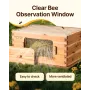Bee Hive Deep Box Starter Kit, 100% bivoks coated naturlig