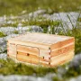 Bee Hive Deep Box Starter Kit, 100% Beeswax Coated Natural Fir Wood, Langstroth Beehive Kit with 10 Frames and Foundations, Tran