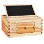 Bee Hive Deep Box Starter Kit, 100% Beeswax Coated Natural Fir Wood, Langstroth Beehive Kit with 10 Frames and Foundations, Tran